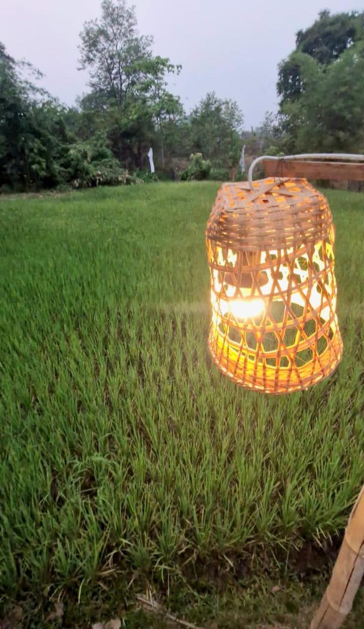 Ban Kiangtat Bolaven Garden Bungalow And Tent - Tad Lo מראה חיצוני תמונה