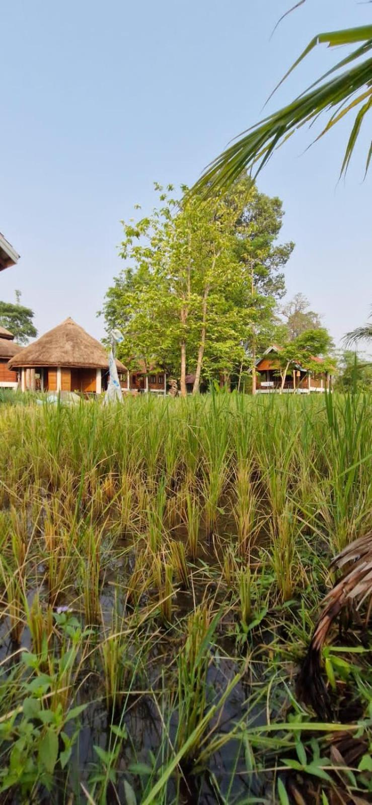 Ban Kiangtat Bolaven Garden Bungalow And Tent - Tad Lo מראה חיצוני תמונה