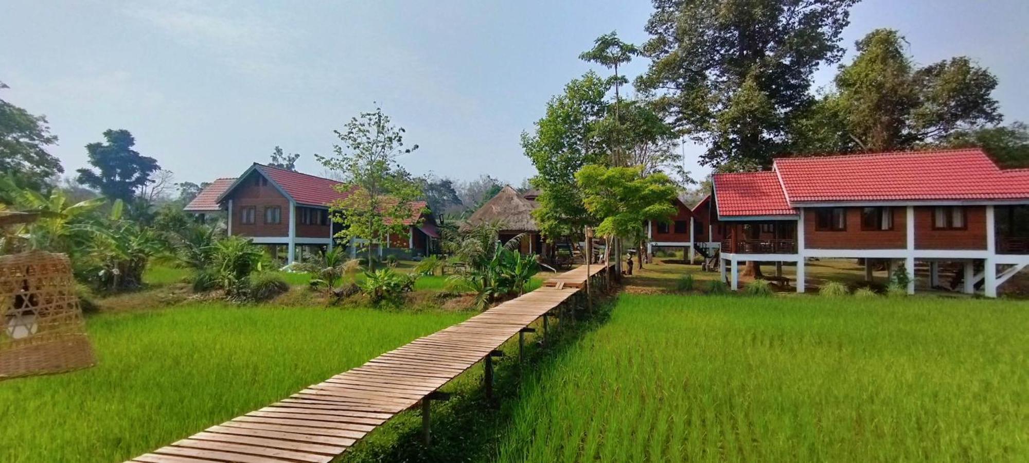 Ban Kiangtat Bolaven Garden Bungalow And Tent - Tad Lo מראה חיצוני תמונה
